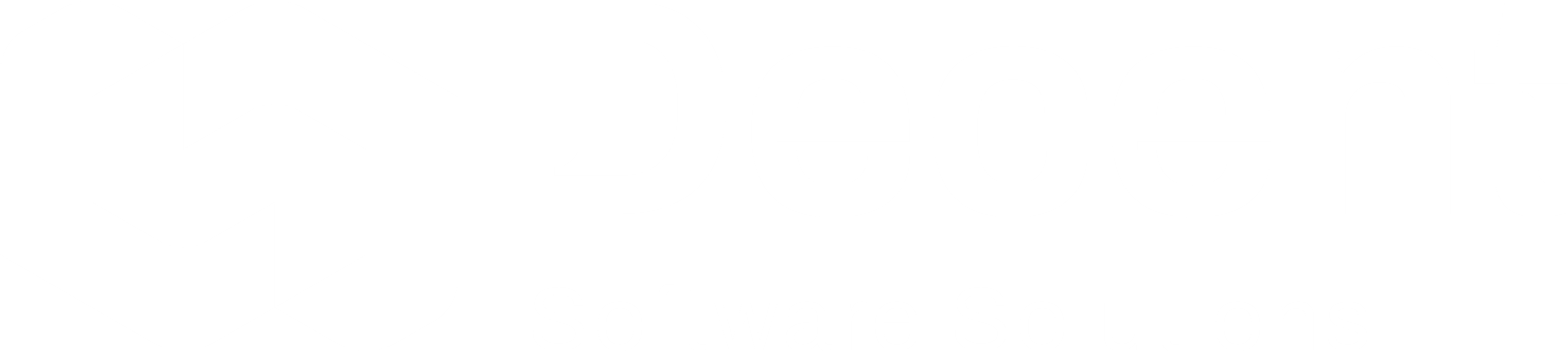 Decent Software Solutions logo